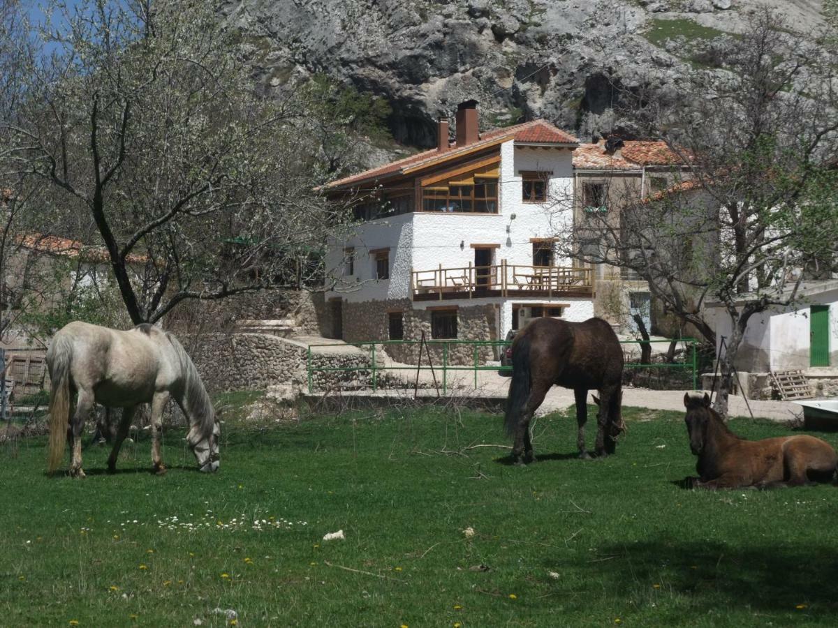 Casas Rurales El Nacimiento Pontones  Buitenkant foto